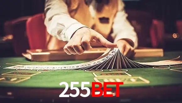 VIP Casino 255bet